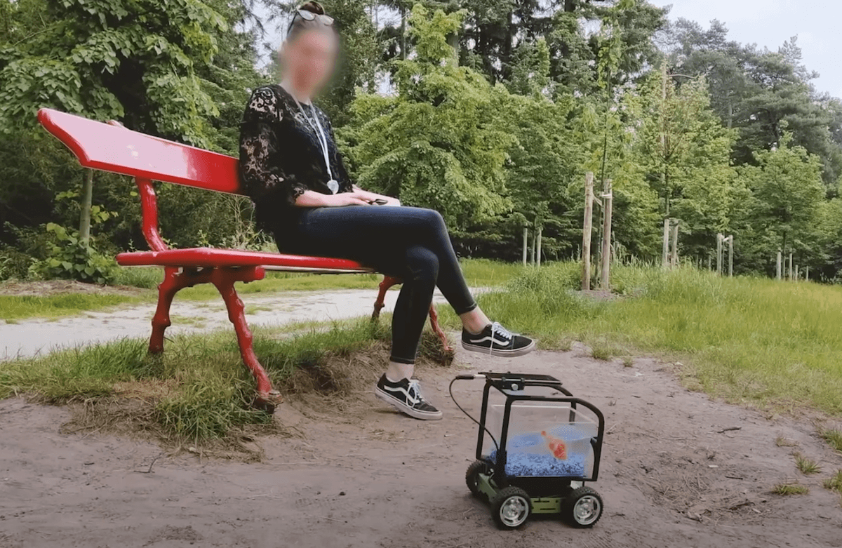 Illustration representing out-of-distribution learning.